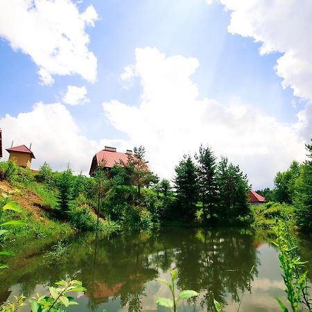 Villa Buhiv Skhidnytsia Kültér fotó