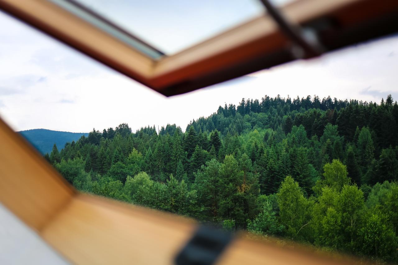 Villa Buhiv Skhidnytsia Kültér fotó
