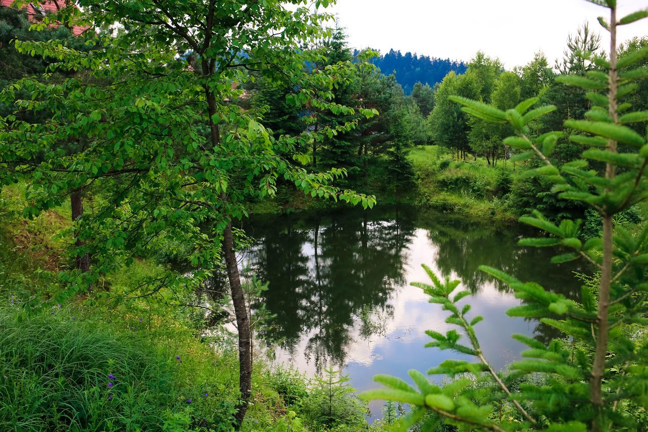 Villa Buhiv Skhidnytsia Kültér fotó